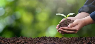 Hand cupping a plant